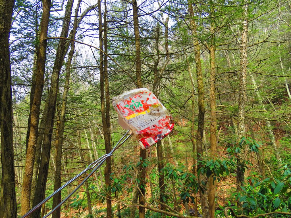 cleaning sullivan catskills trails one bucket at a time 4