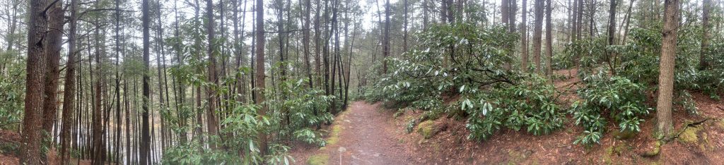 couple panoramic photos from our mullet falls trail cleanup waterfall hike 7