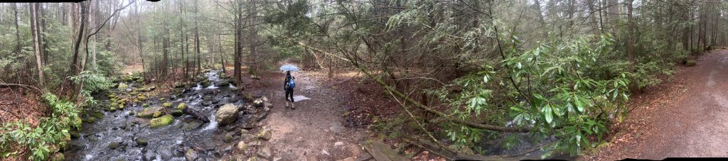 couple panoramic photos from our mullet falls trail cleanup waterfall hike 8