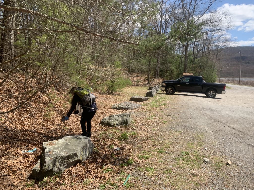 picking up trash for earth day 2020 at the bashakill marsh 3
