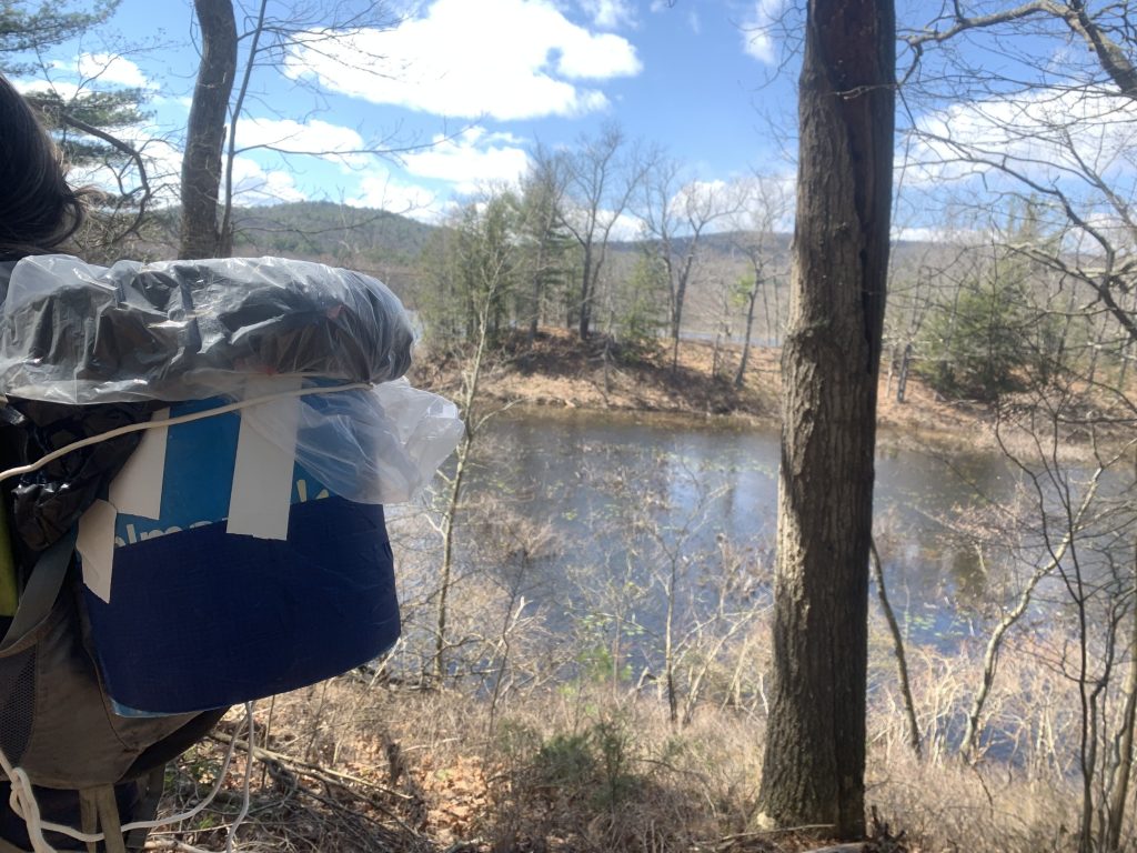 picking up trash for earth day 2020 at the bashakill marsh 7