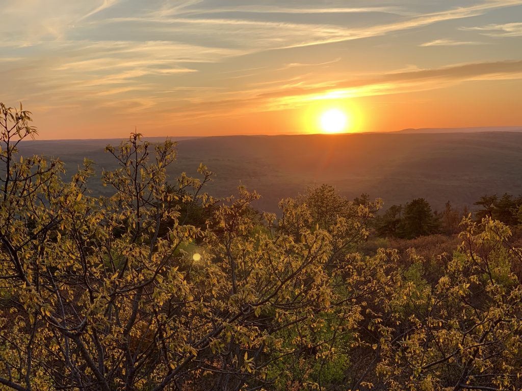 sunset pictures at the roosa gap state forest