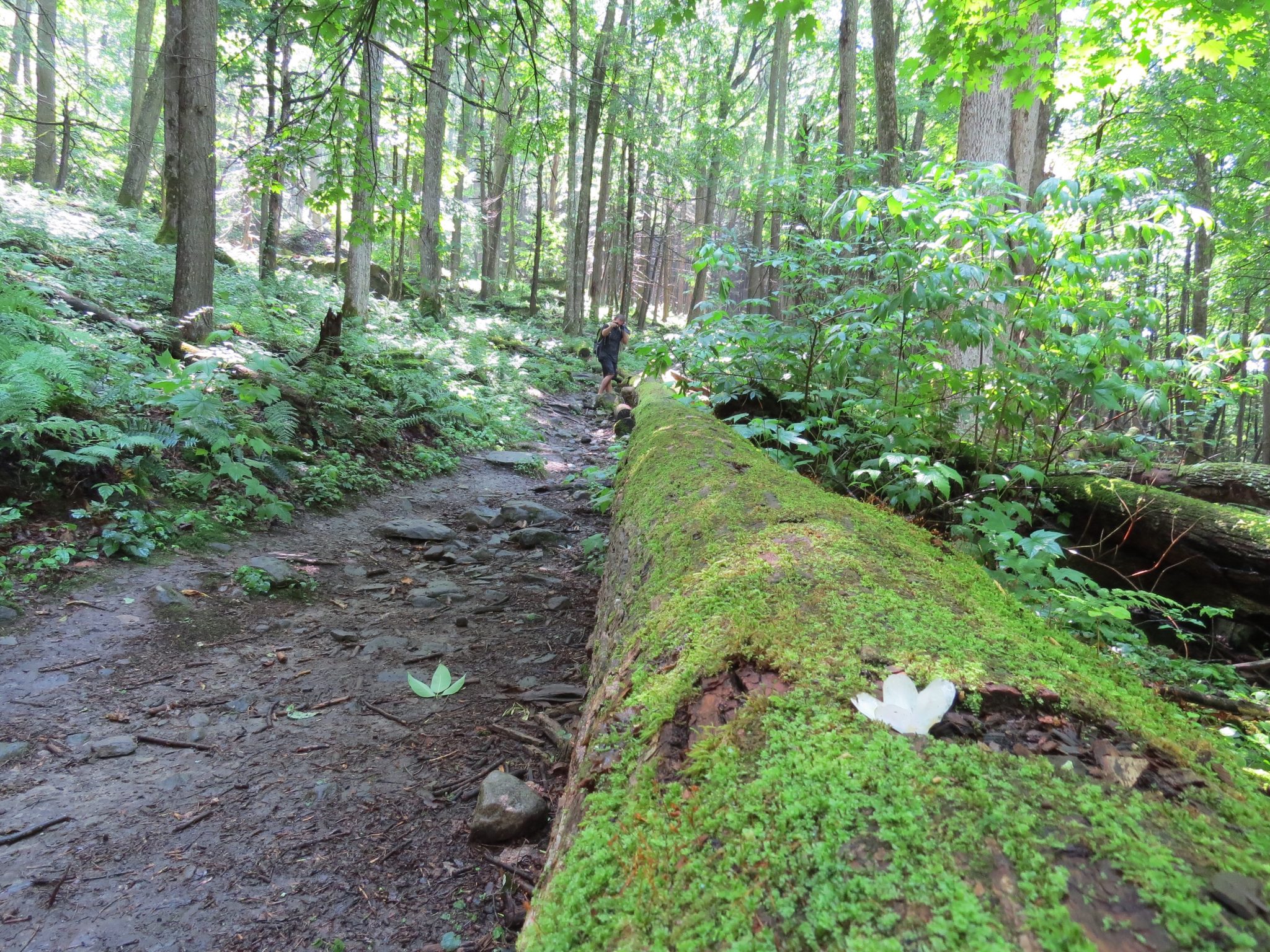 Hiking Past High Falls in Rock Hill NY Hiking & Biking Trails