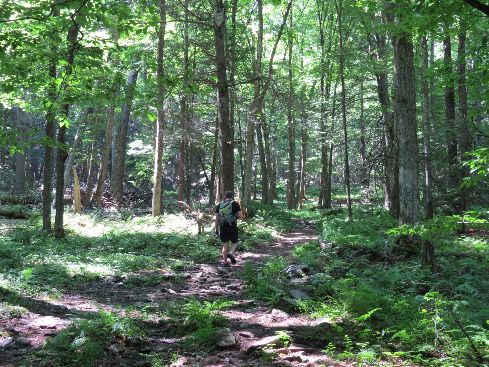 Hiking Past High Falls in Rock Hill NY Hiking & Biking Trails