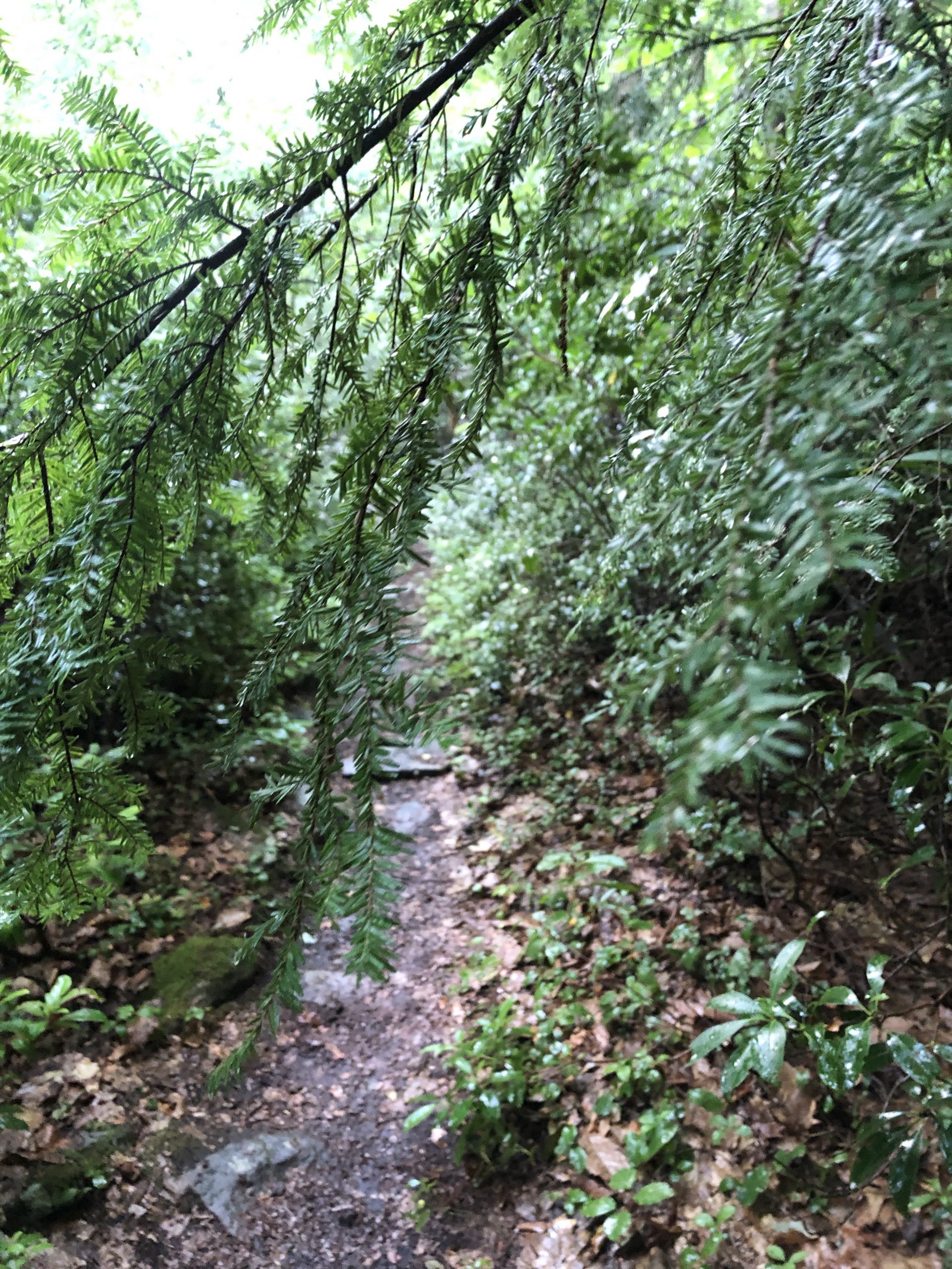 Hiking Past High Falls in Rock Hill NY Hiking & Biking Trails