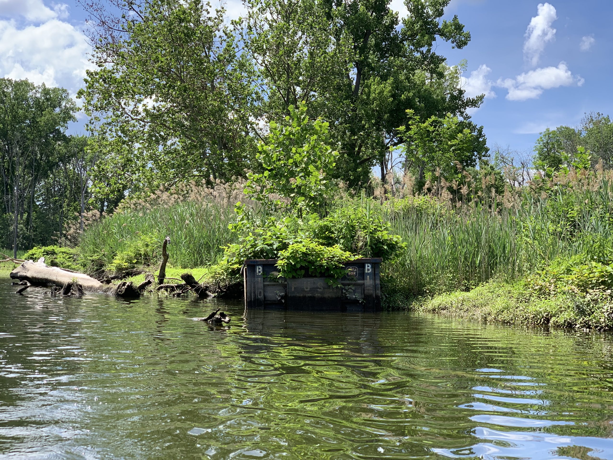 Kayaking Cornwall On Hudson with Family Hiking & Biking Trails