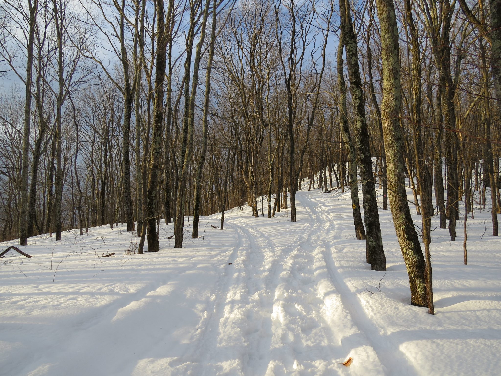 Exploring Walnut Mountain Park Trails Hiking & Biking Trails