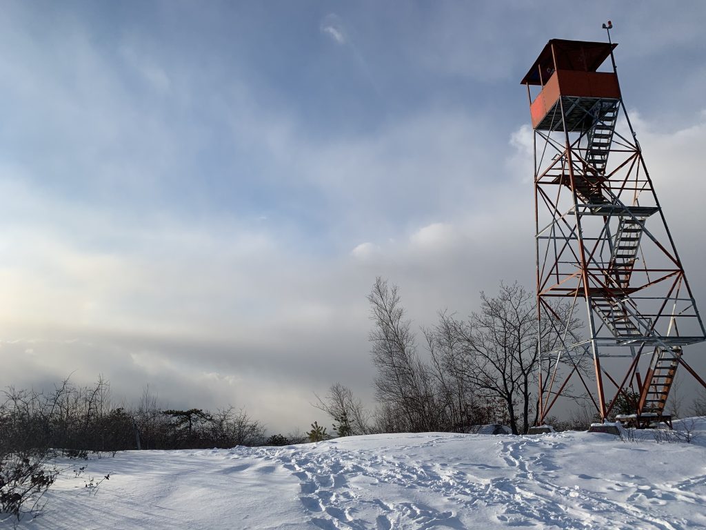 Short Walk to Roosa Gap Fire Tower on 2-20 Pictures