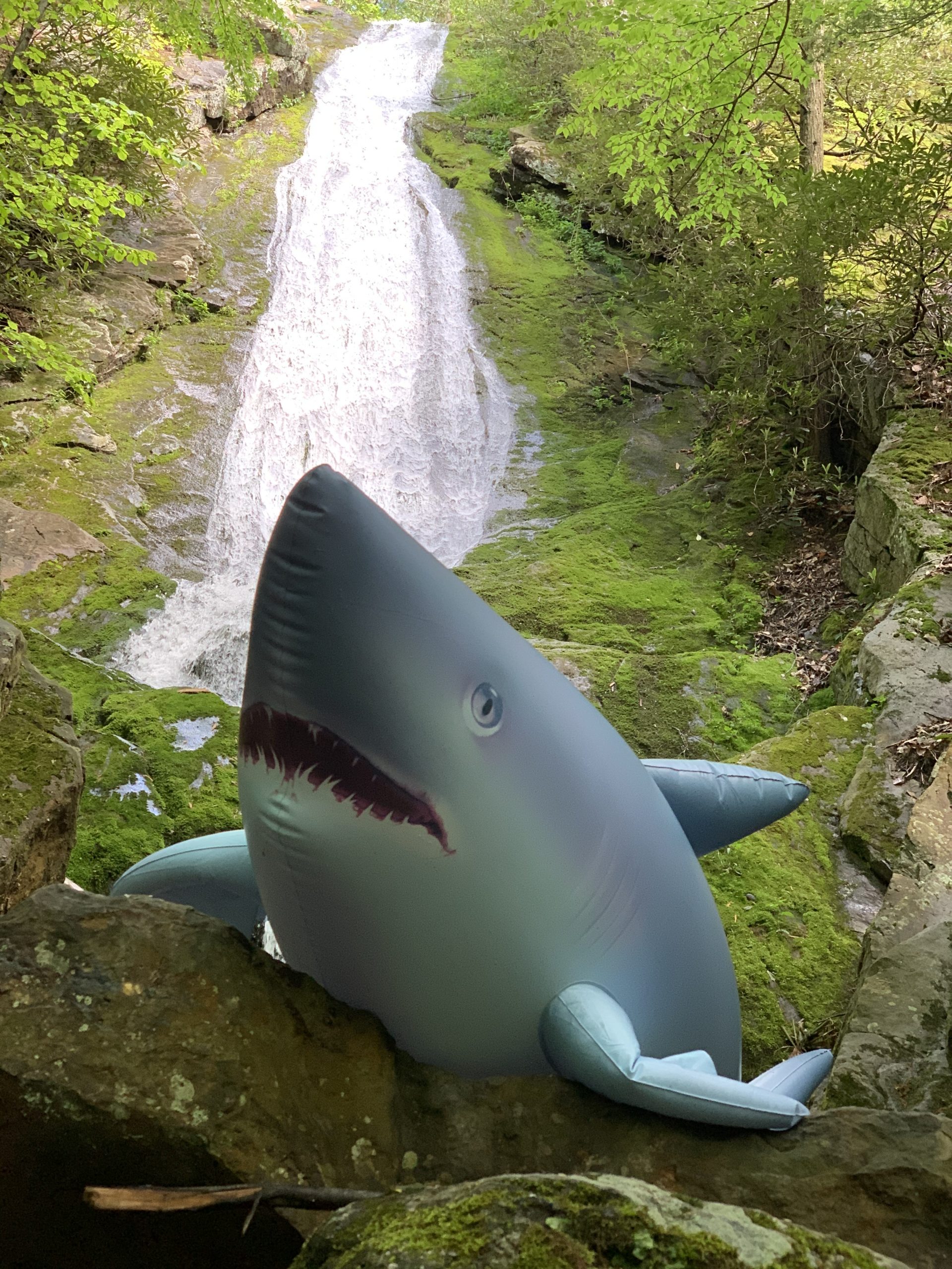 Adventure Shark at Buttermilk Falls