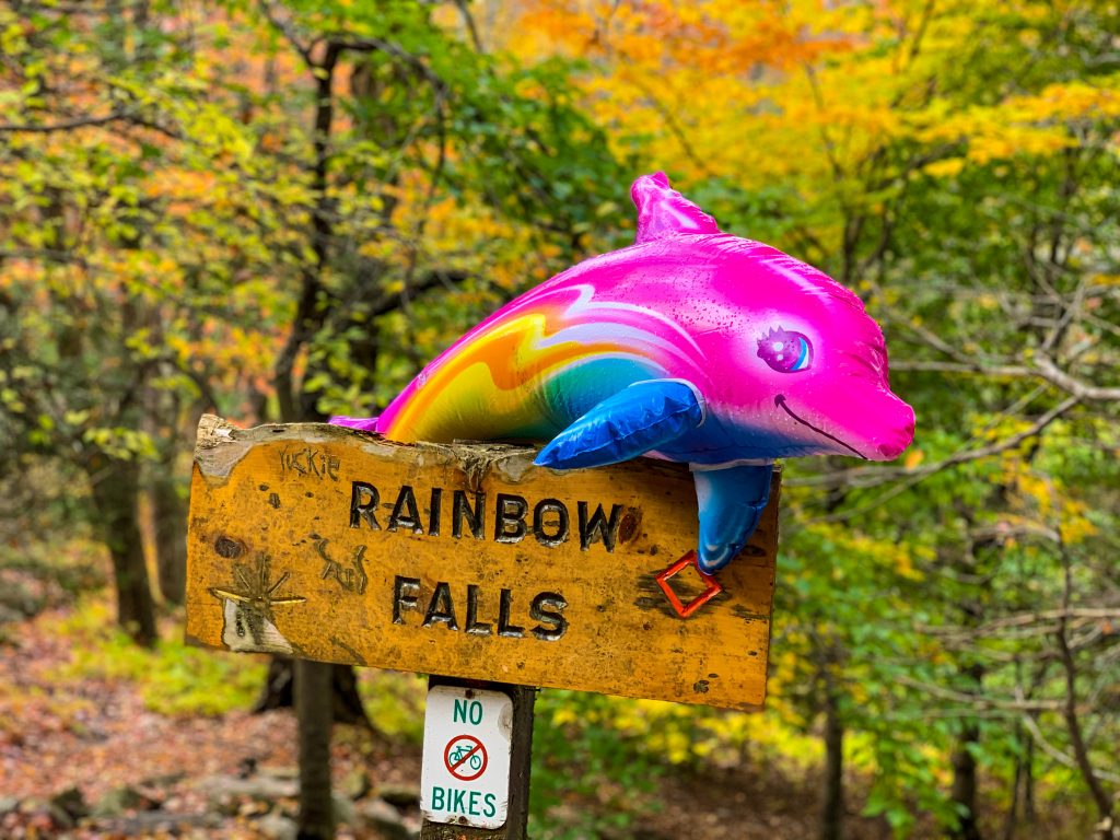 hiking srt trail to rainbow falls with luna 9