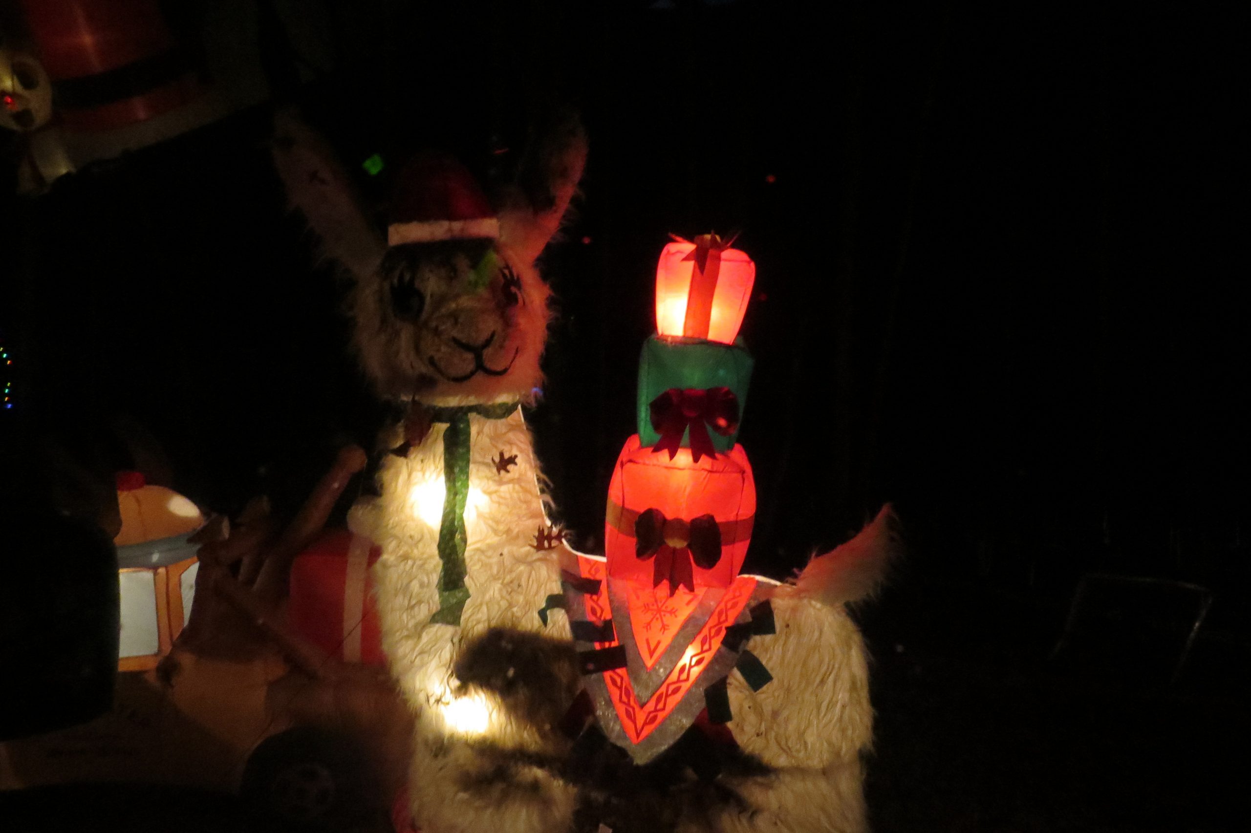 Watt Christmas Wonderland 2021 Hiking & Biking Trails