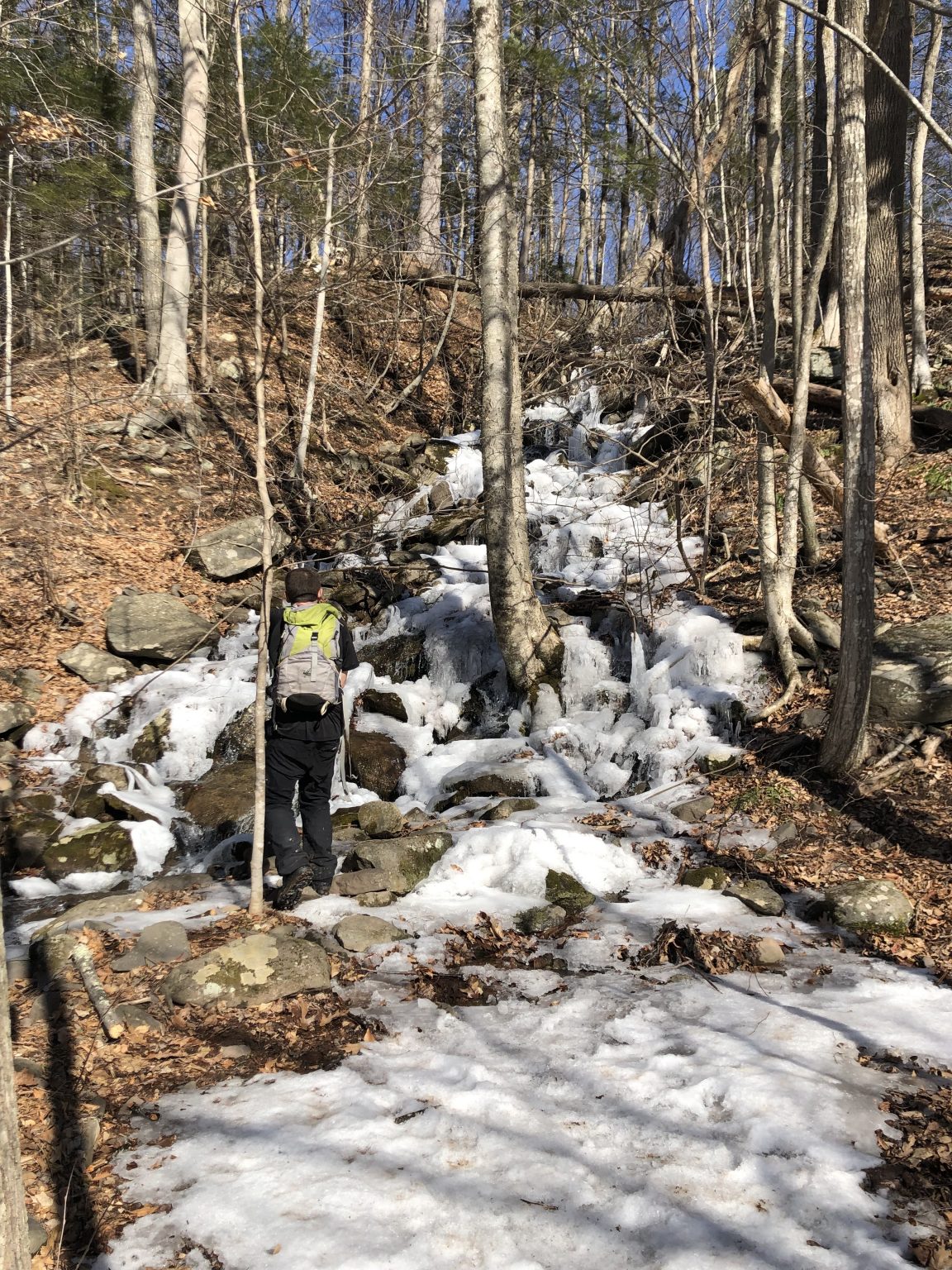 Mount Tremper Fire Tower Challenge Hiking & Biking Trails