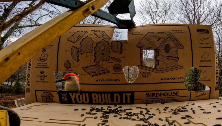 D.I.Y Jimmy’s Workshop Birdhouse Build