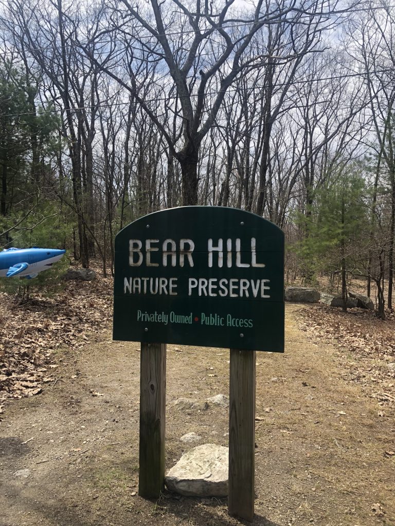 Hiking Bear Mountain Loop Trail