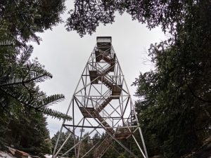 Pictures hiking Balsam fire tower in the Catskills