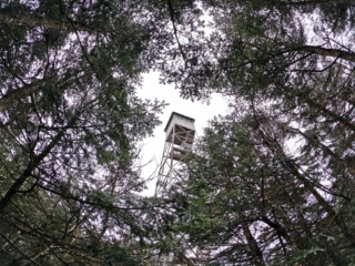 Catskills Balsam Fire Tower Challenge