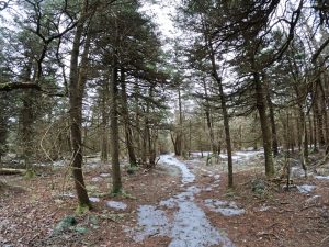 Pictures hiking Balsam fire tower in the Catskills