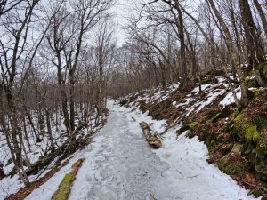 Pictures hiking Balsam fire tower in the Catskills
