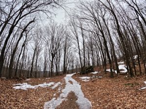 Pictures hiking Balsam fire tower in the Catskills