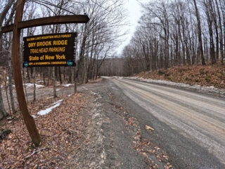 Catskills Balsam Fire Tower Challenge