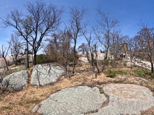 Bear Mountain Perkins Memorial Tower Hiking Pictures