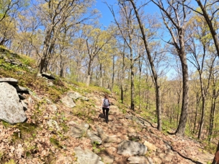  Bear Mountain State Park May 2022 Pictures