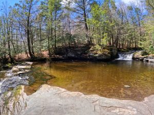 Vernooy Kill State Forest Waterfall May2022