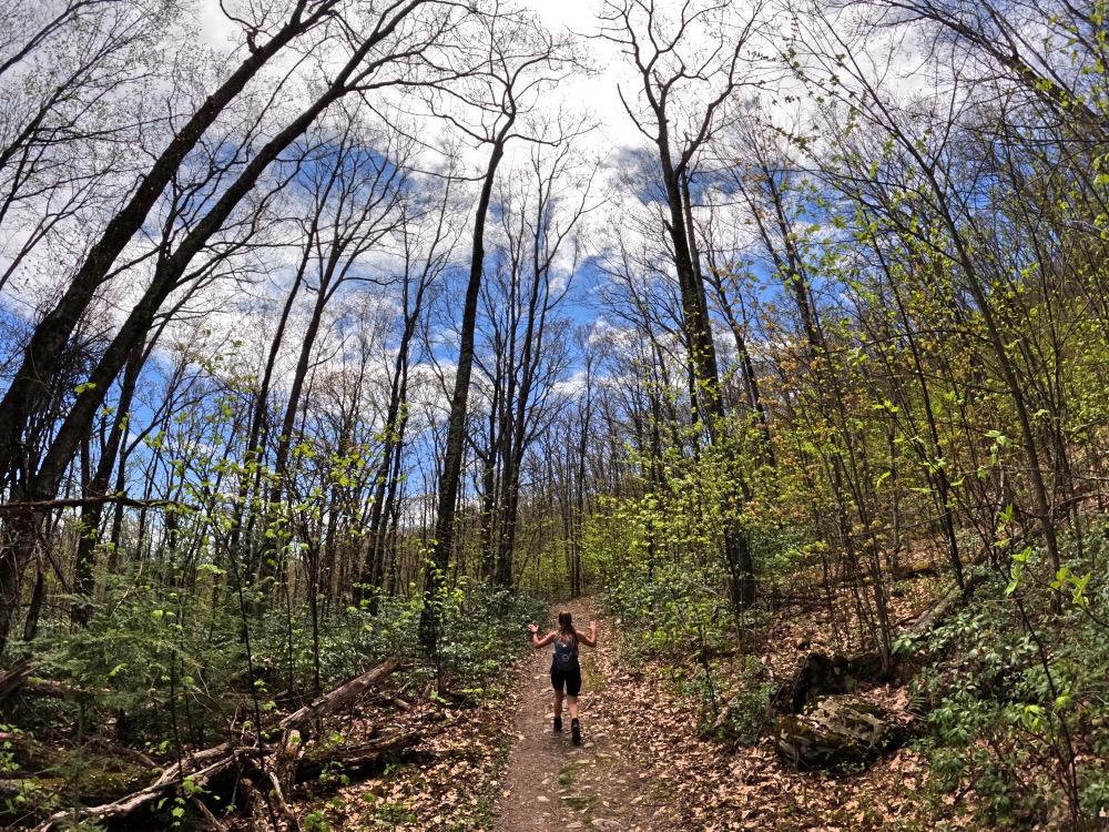 Vernooy Waterfall May 2022