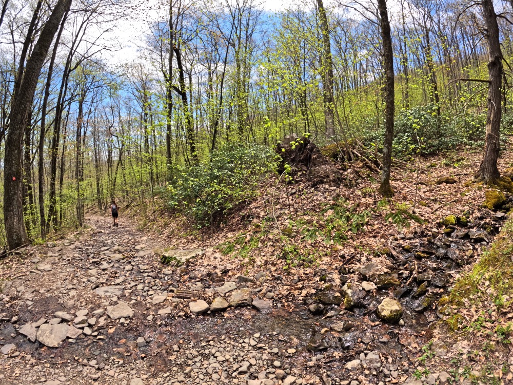 Vernooy Waterfall May 2022