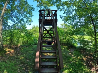 Hiking Bashakill Wetlands Images