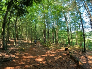 Bashakill Hiking Pictures