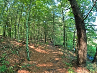 Bashakill Hiking Pictures