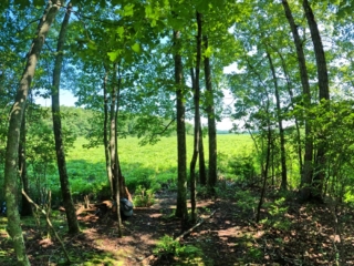 Bashakill Hiking Pictures