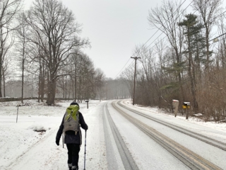 Long Path Section 10 Images