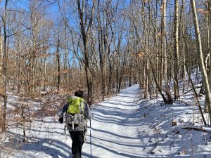 Pictures from the NYNJYC Long Path Section 11