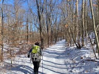 LP Section 11 Images