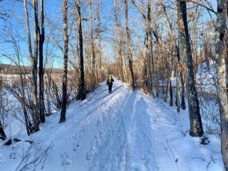 Hiking the Long Path