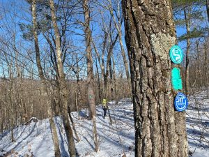 Pictures from the NYNJYC Long Path Section 11