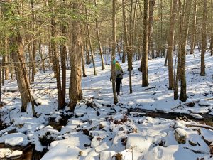 Pictures from the NYNJYC Long Path Section 11