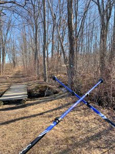 Pictures from the NYNJYC Long Path Section 12