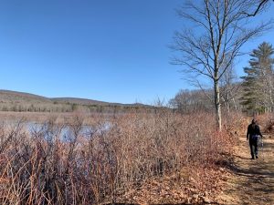 Pictures from the NYNJYC Long Path Section 12