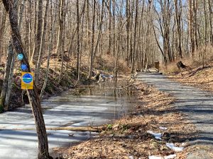 Pictures from the NYNJYC Long Path Section 12