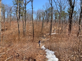 Long Path Trail Section 13 Photo Galleries