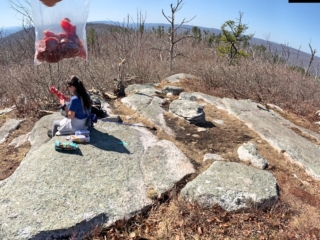 Long Path Trail Section 13 Photo Galleries