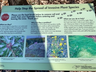 Long Path Hiking Pictures