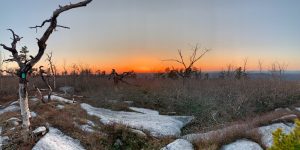 Pictures from the NYNJYC Long Path Section 13