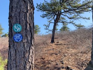 Pictures from the NYNJYC Long Path Section 13