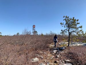 Pictures from the NYNJYC Long Path Section 13