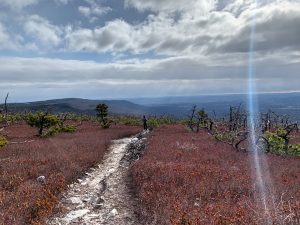 Pictures from the NYNJYC Long Path Section 14