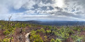 Pictures from the NYNJYC Long Path Section 14